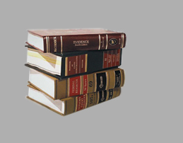 Attorneys